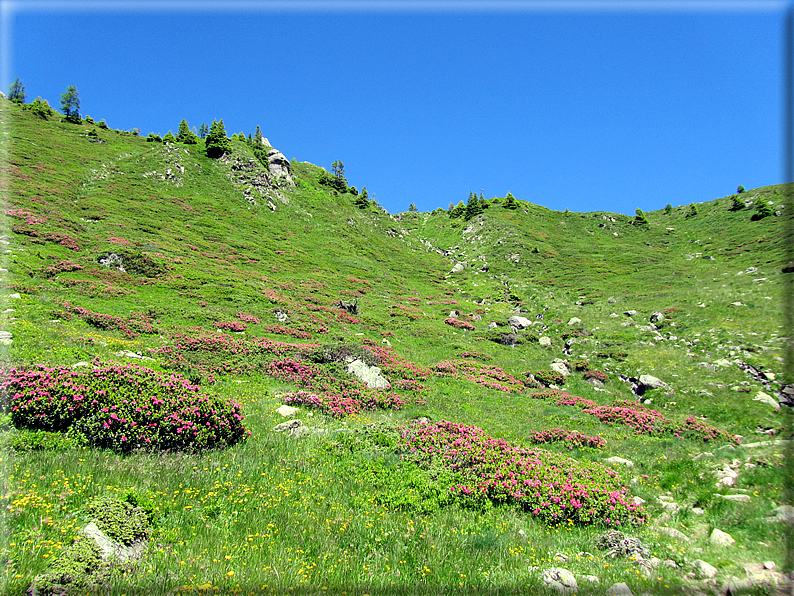 foto Forcella di Valsorda